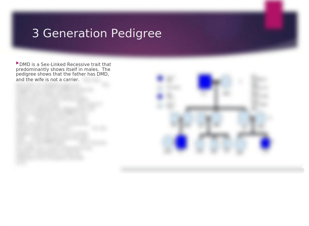 mperez_NUR3306 Genetic Disorder Presentation_20622.pptx_dek5a2rrih4_page3