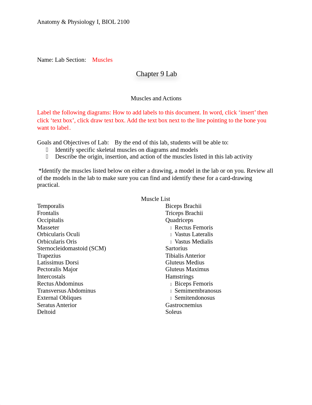 Chapter 9 Muscle Lab.doc_dekaa0jyilm_page1