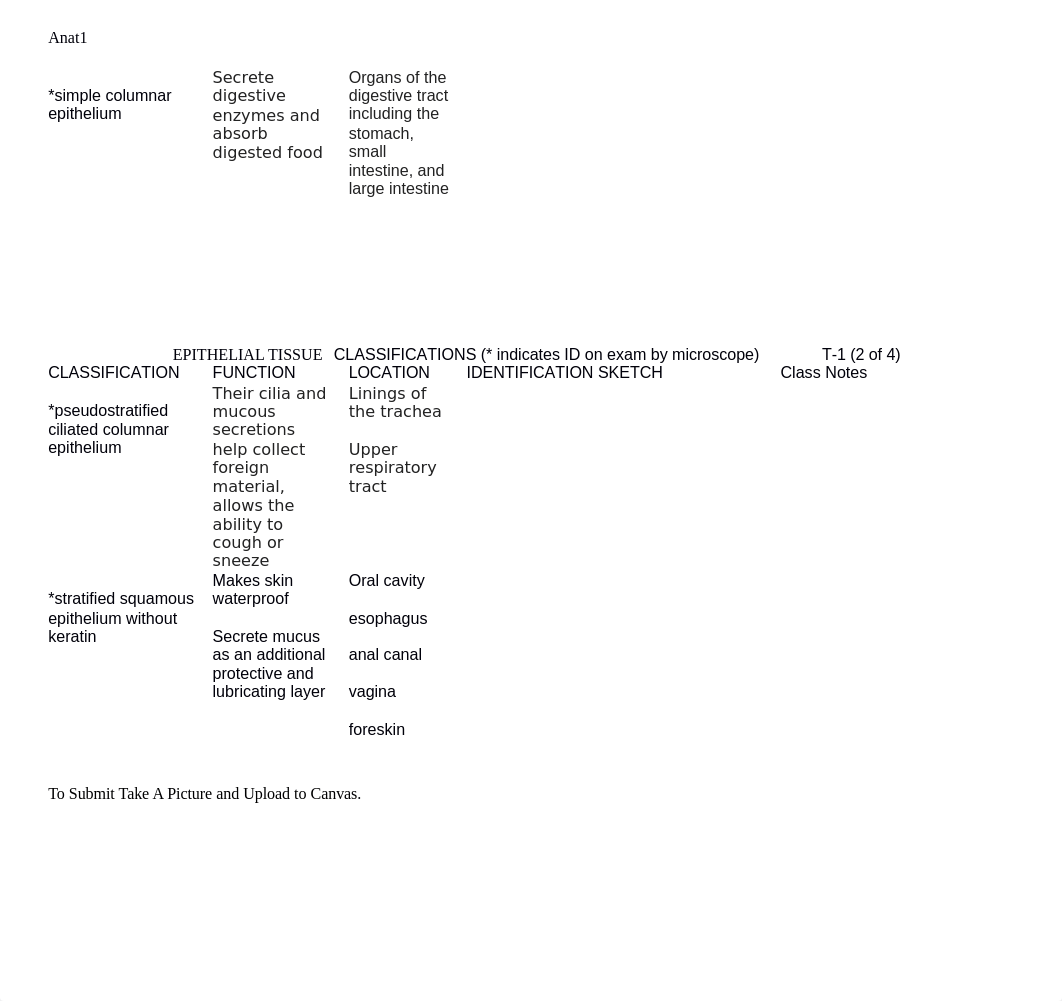 HW 3 - Tissue Chart 1.docx_dekbq6cizsh_page2