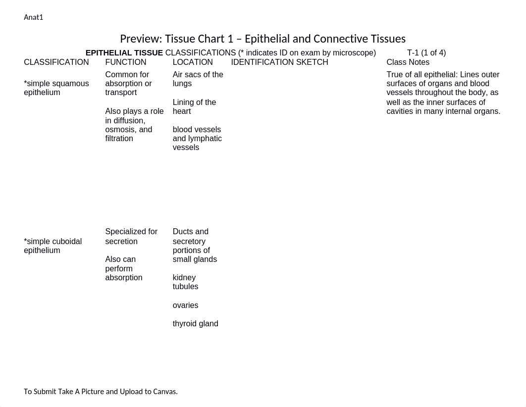 HW 3 - Tissue Chart 1.docx_dekbq6cizsh_page1