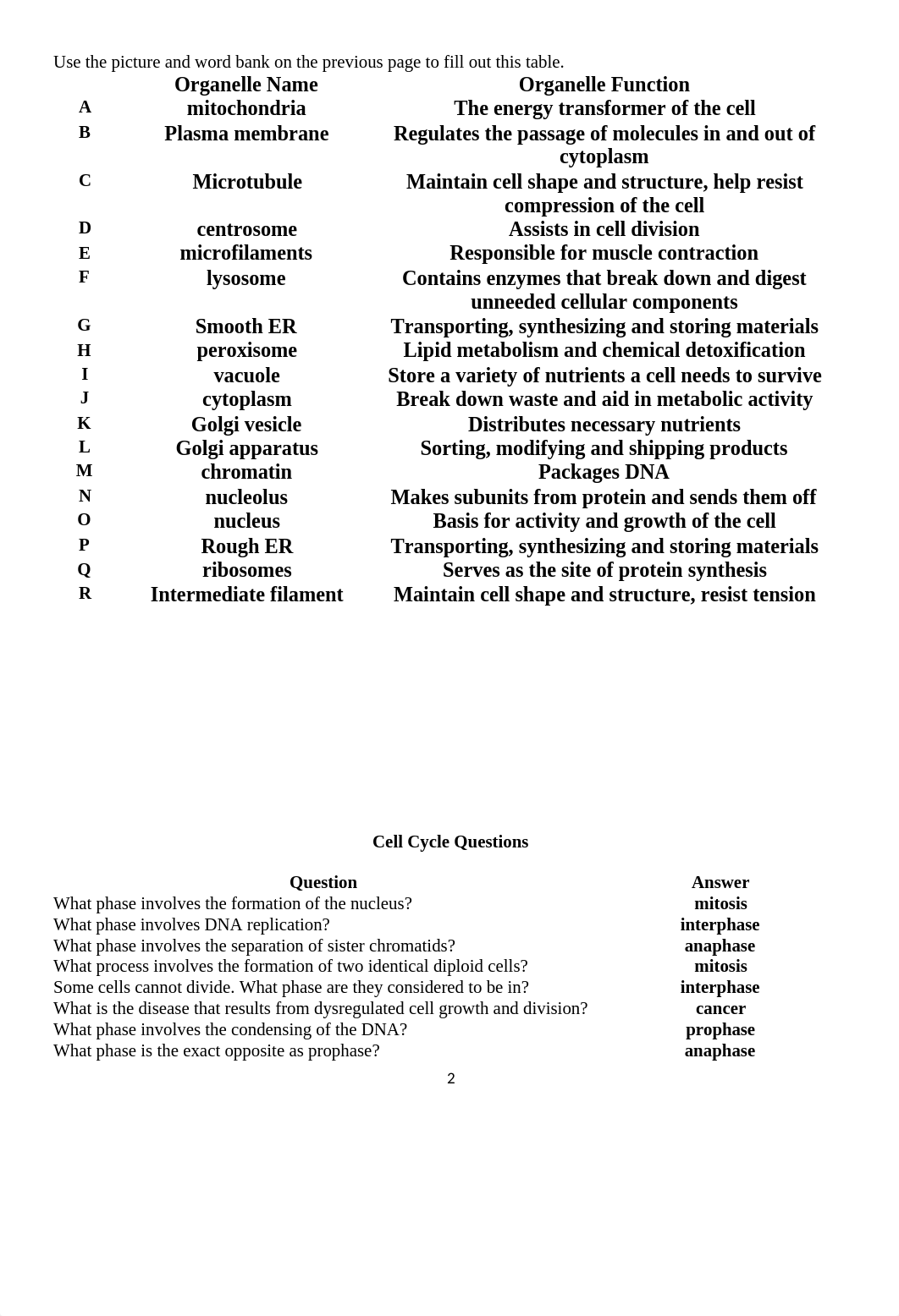 Lab 3 Cellular Structure(1).docx_deki57xldqy_page2