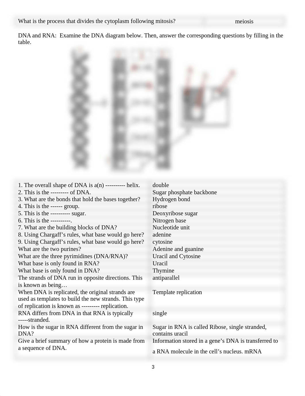 Lab 3 Cellular Structure(1).docx_deki57xldqy_page3