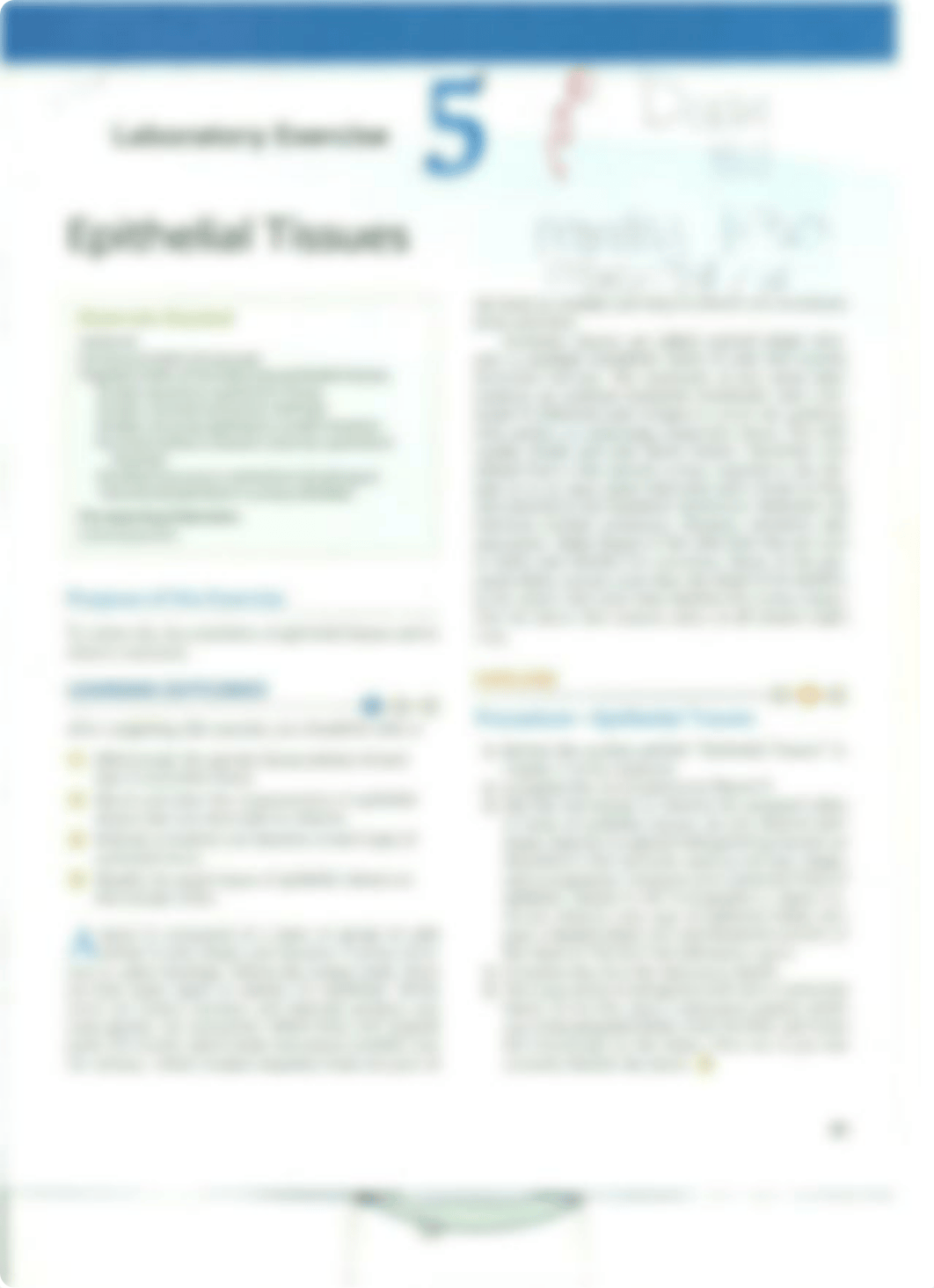 Chapter 5 Epithelial Tissues_deksvasfc5r_page1