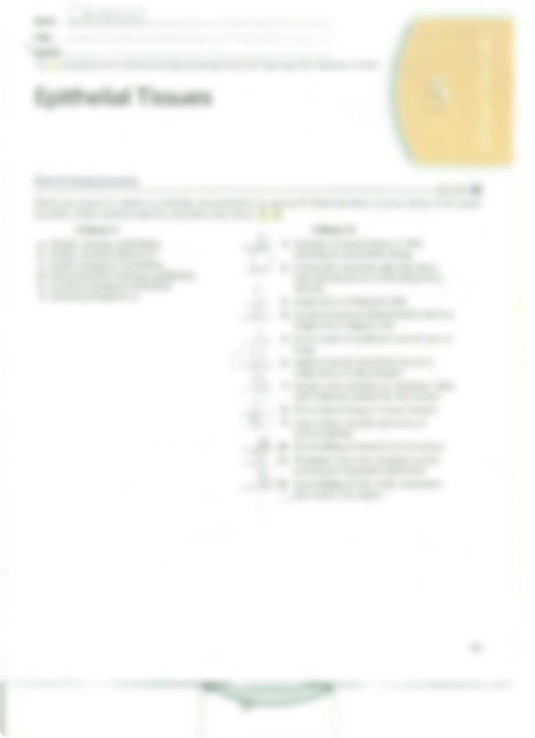 Chapter 5 Epithelial Tissues_deksvasfc5r_page3