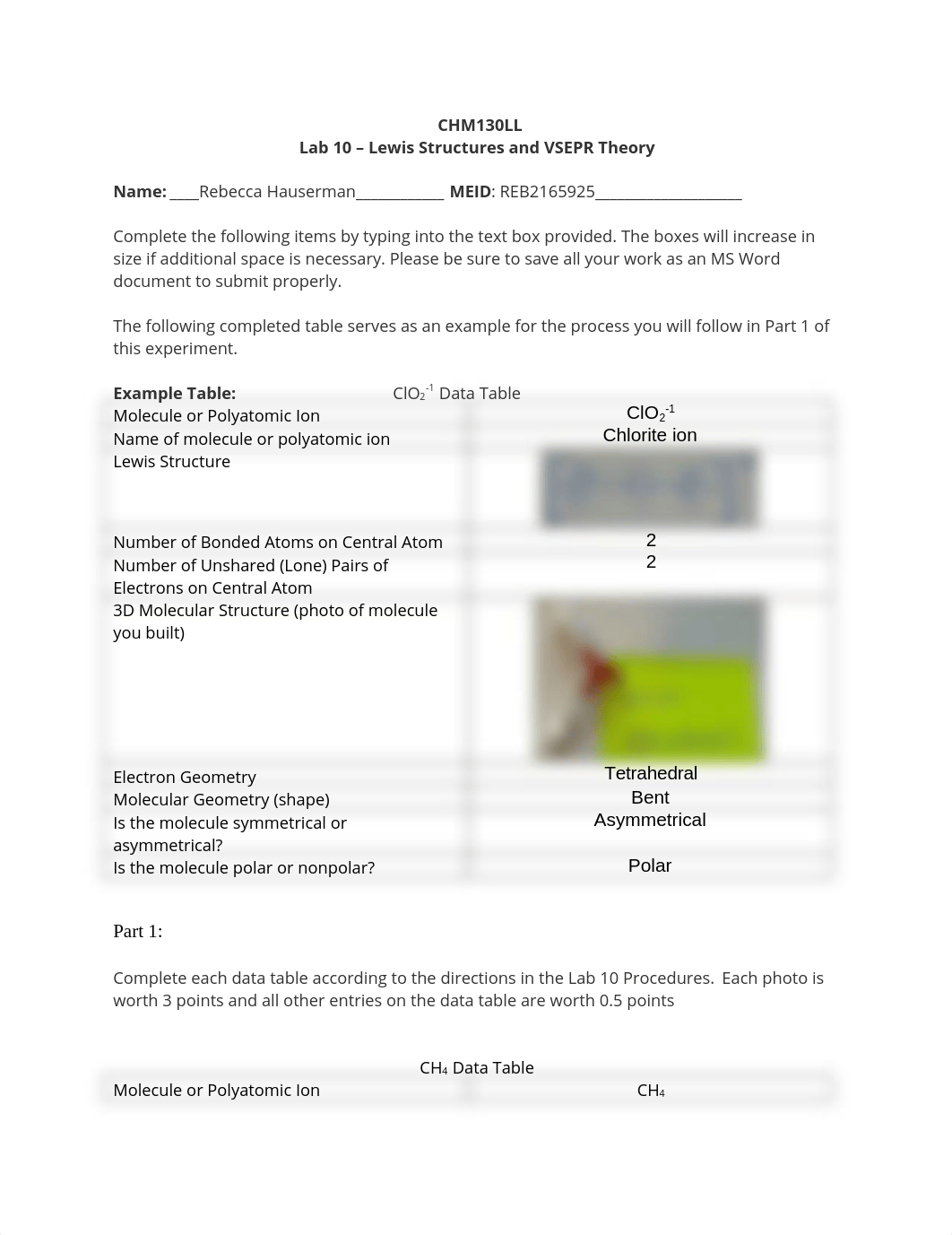 Lab 10.docx_deku0ud61uh_page1