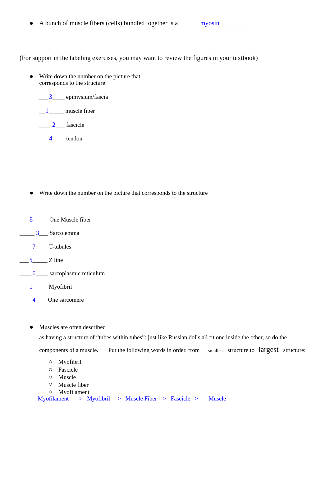 Copy of Ch. 13 Study Guide - Muscular.docx_dekvry2rvnl_page2