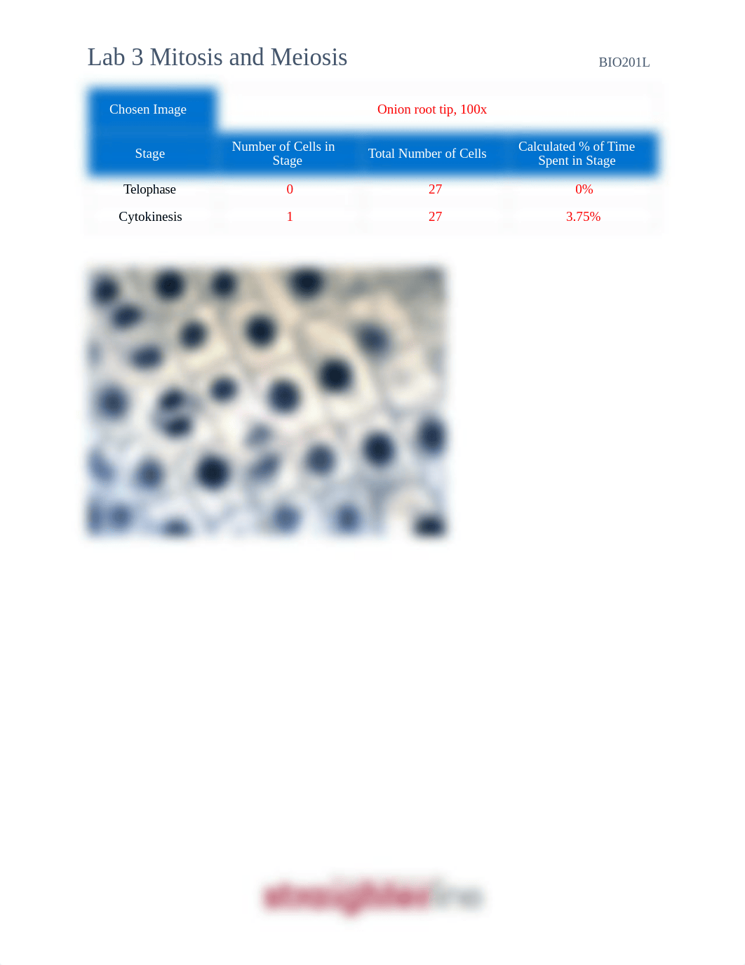 Lab 3 Mitosis and Meiosis.pdf_del3cv4rzqg_page2