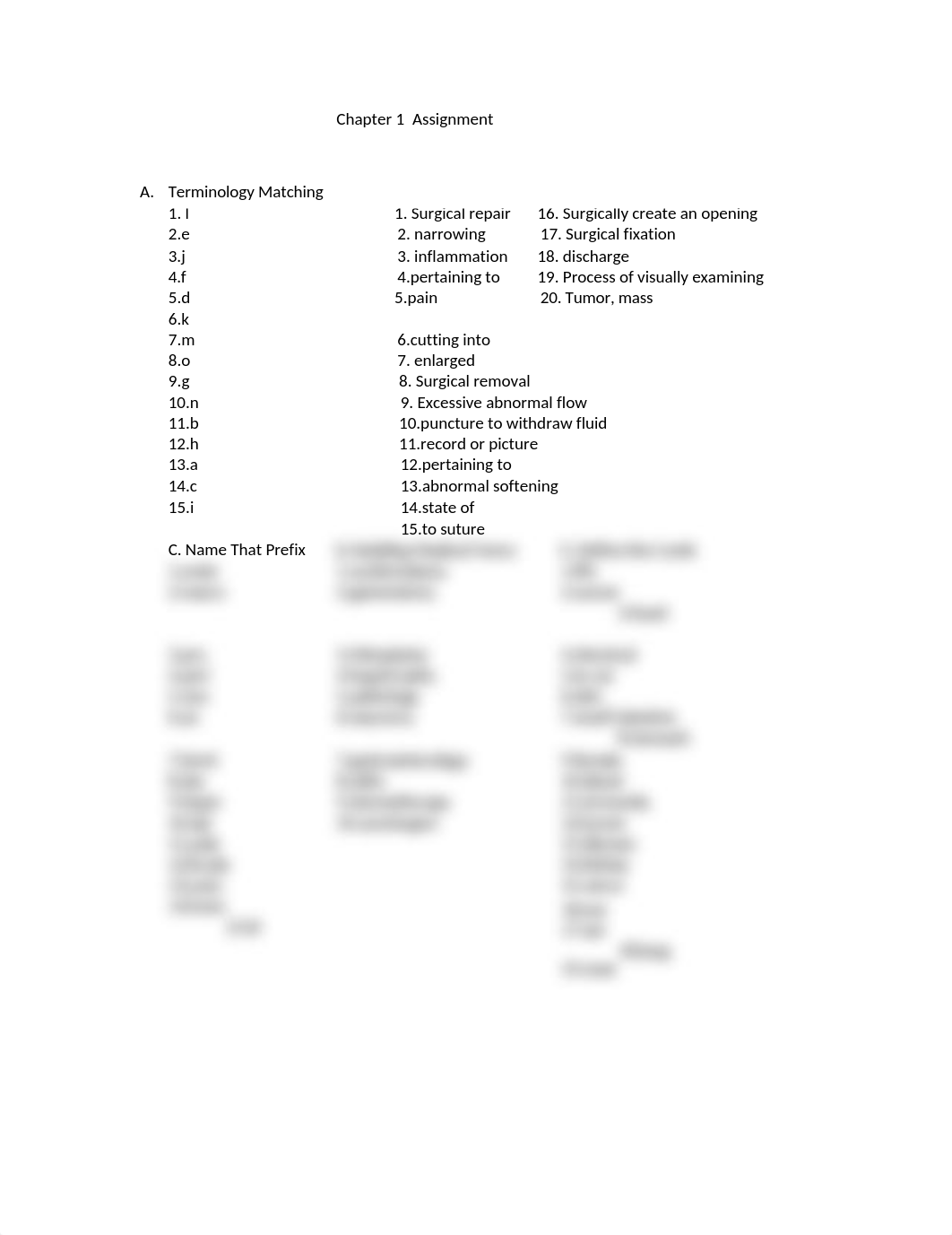 Chapter 1  Assignment_deldjmhz9kv_page1