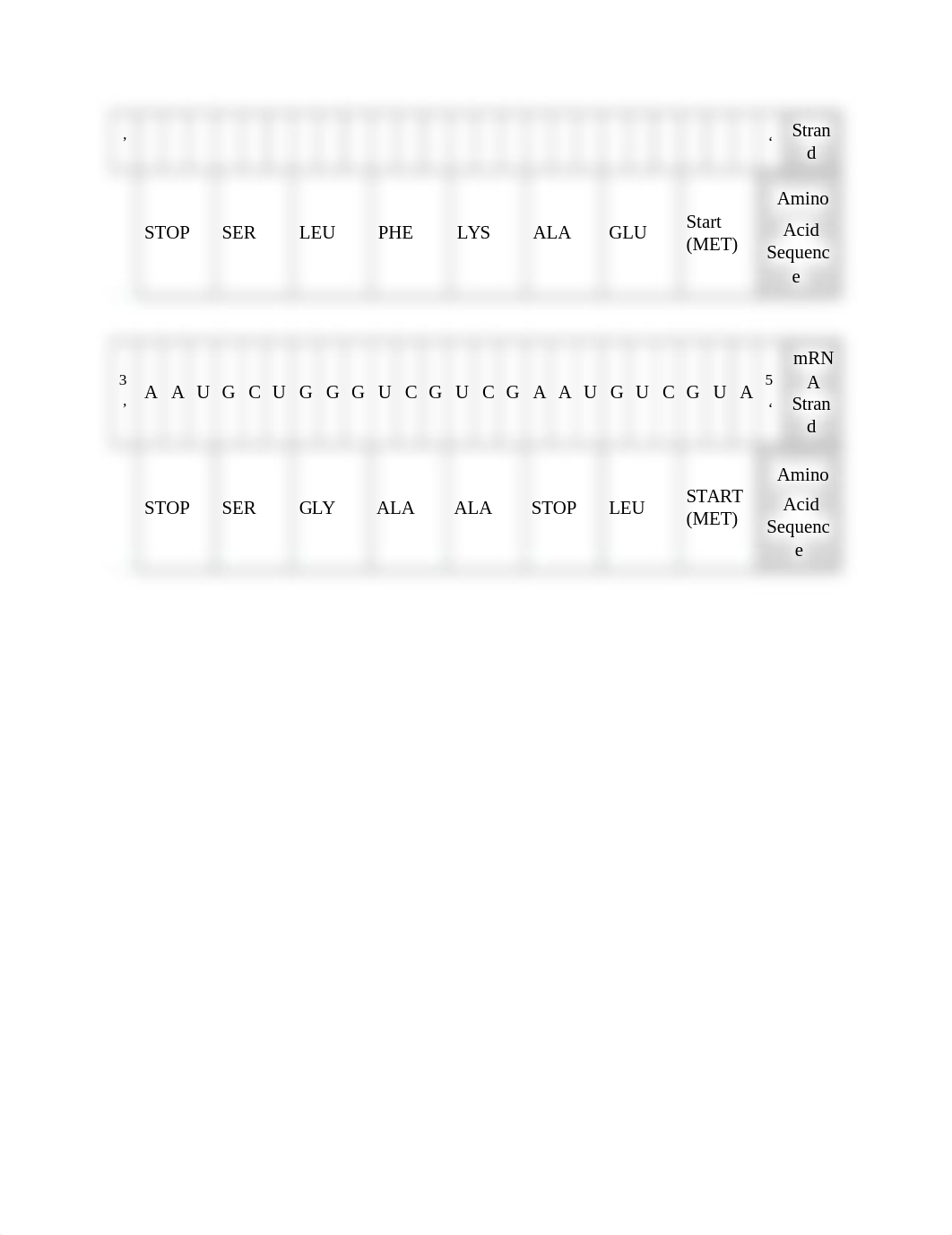 Central_Dogma_Practice.docx_delhu9tnepg_page3