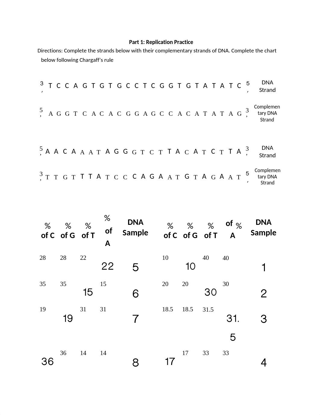 Central_Dogma_Practice.docx_delhu9tnepg_page1