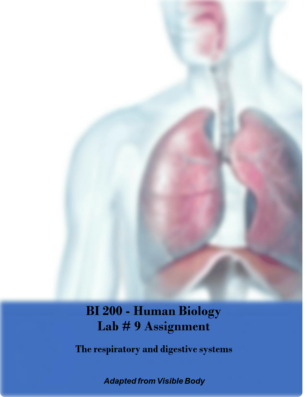 Beidleman_Lab #9.pdf_delhy3exj6u_page1