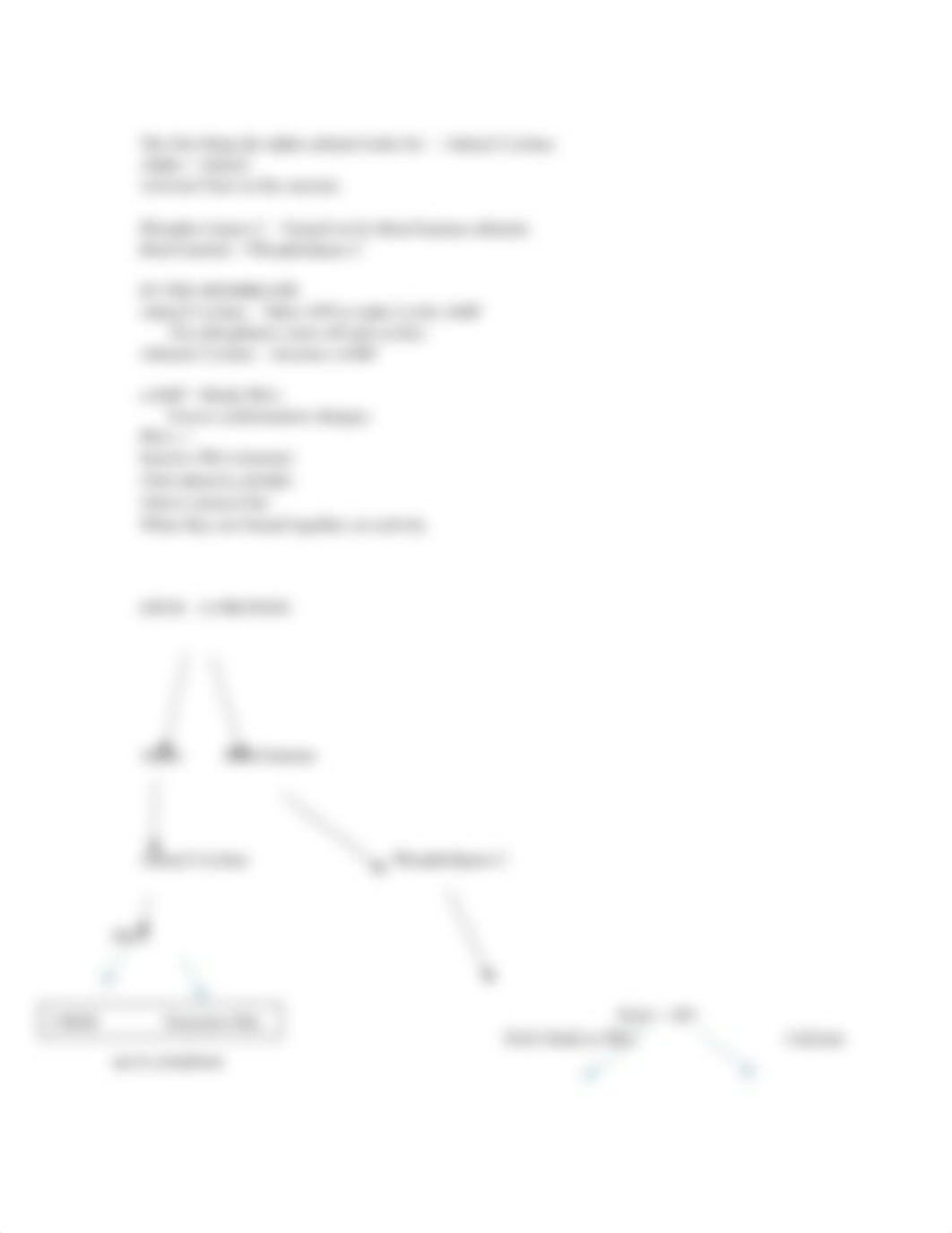 Cell Bio Exam 3_dellwtvkk39_page2