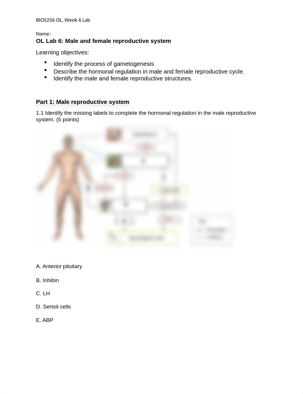 week6 LAB.docx_deln6ptxsey_page1