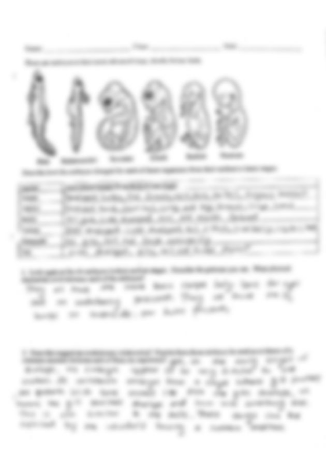 Evidence of Evolution - Angel Henn (2)_delnzzmsxe9_page3