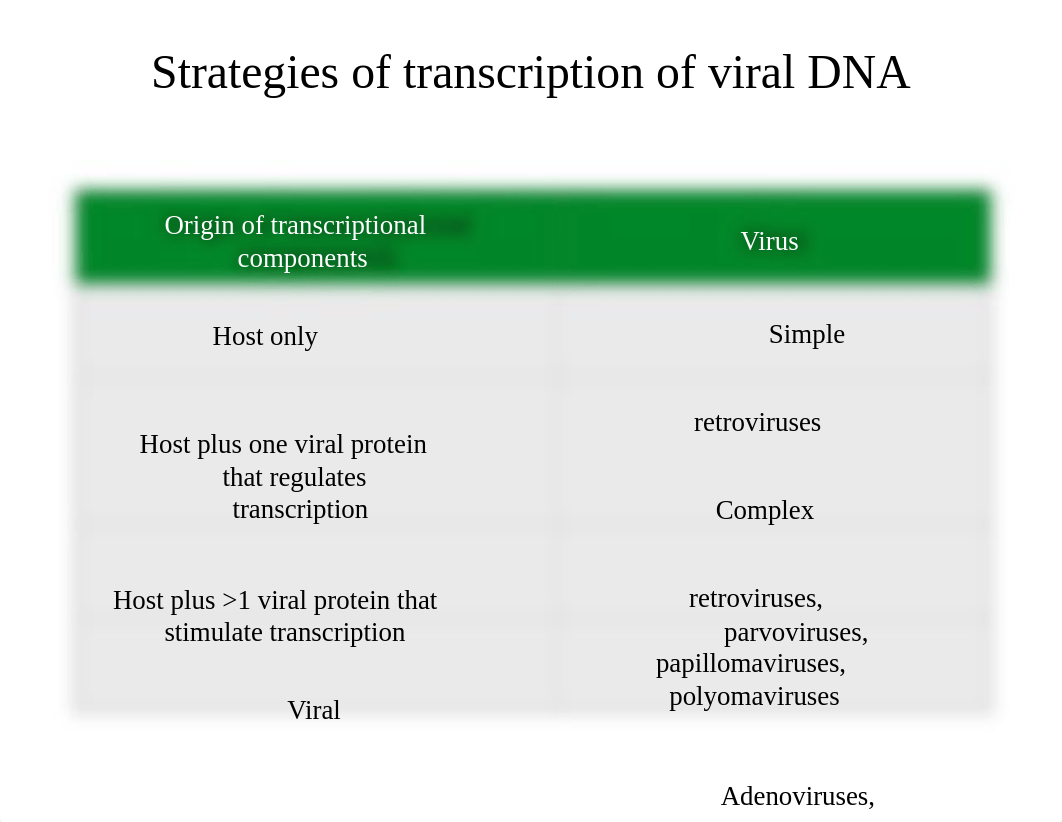 007 Transcription and RNA processing 2018.pptx_delonbalb4s_page4