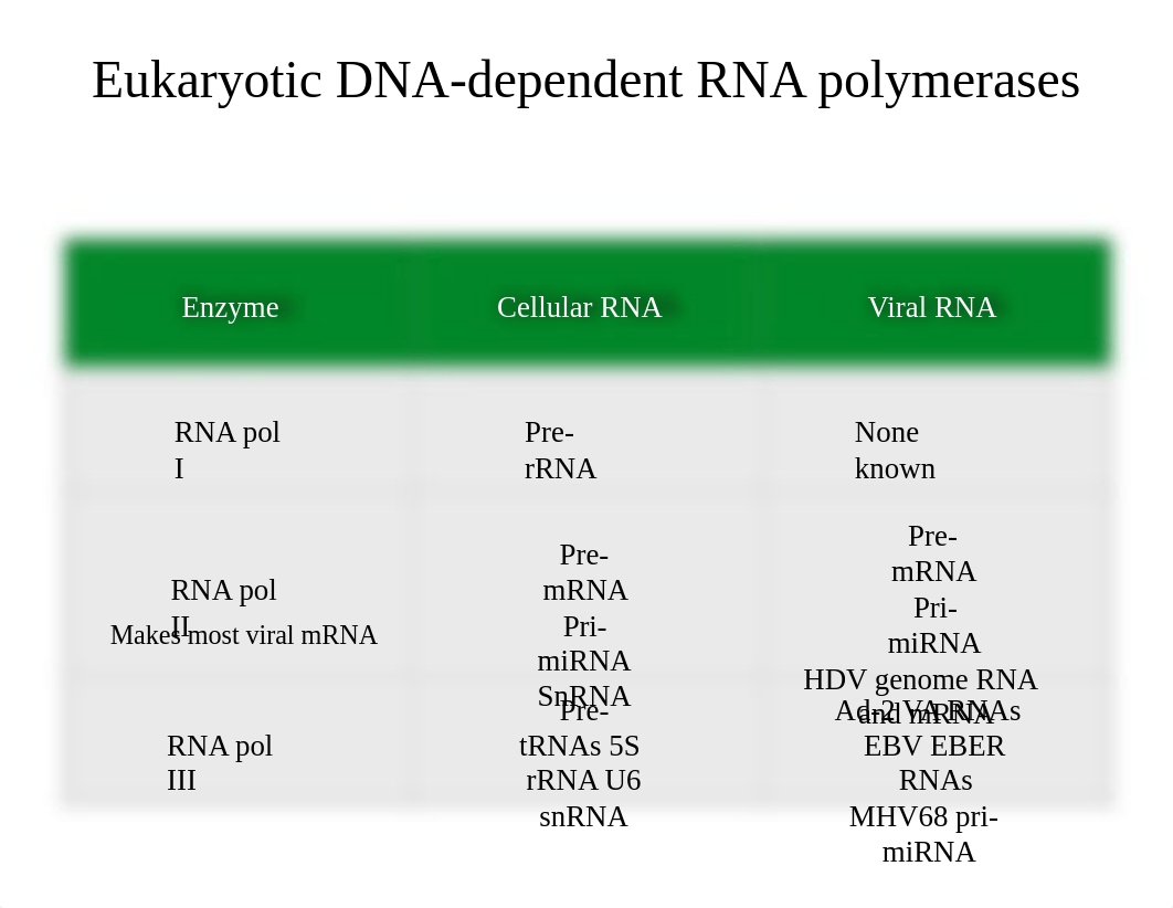 007 Transcription and RNA processing 2018.pptx_delonbalb4s_page3