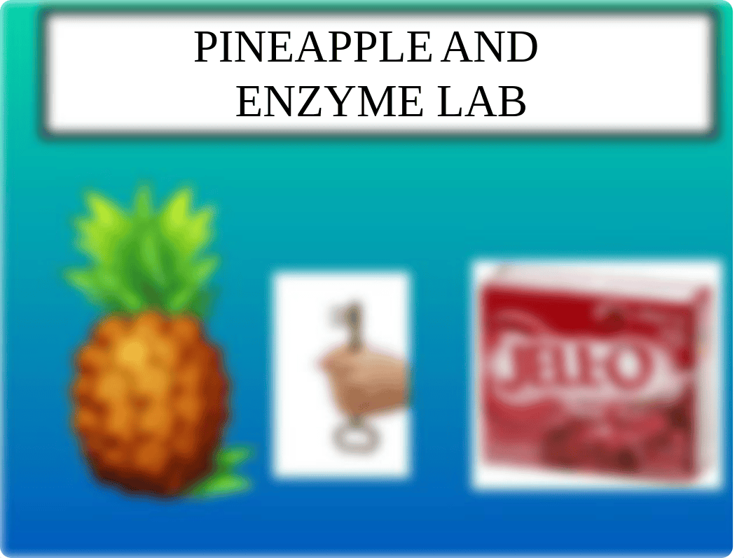 PINEAPPLE LAB 2016.ppt_deltomwec4t_page1