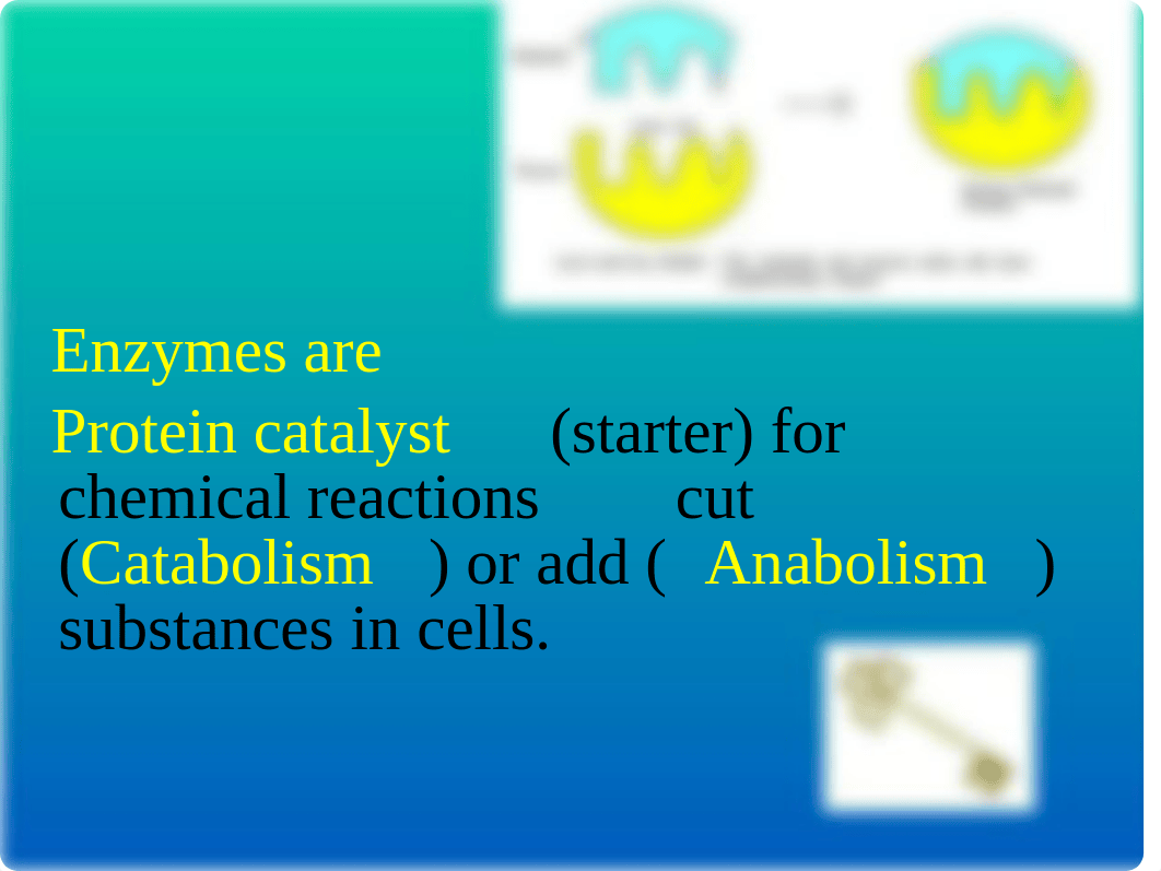 PINEAPPLE LAB 2016.ppt_deltomwec4t_page4