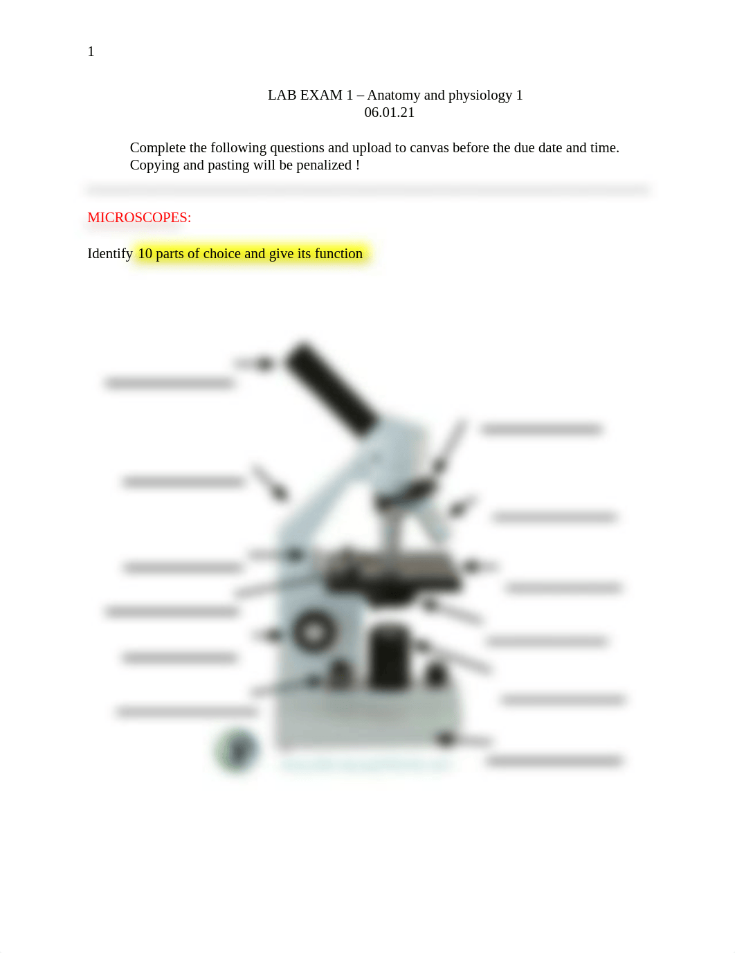 LAB EXAM 1 06.01.21 A&P1.docx_delui35yo1m_page1