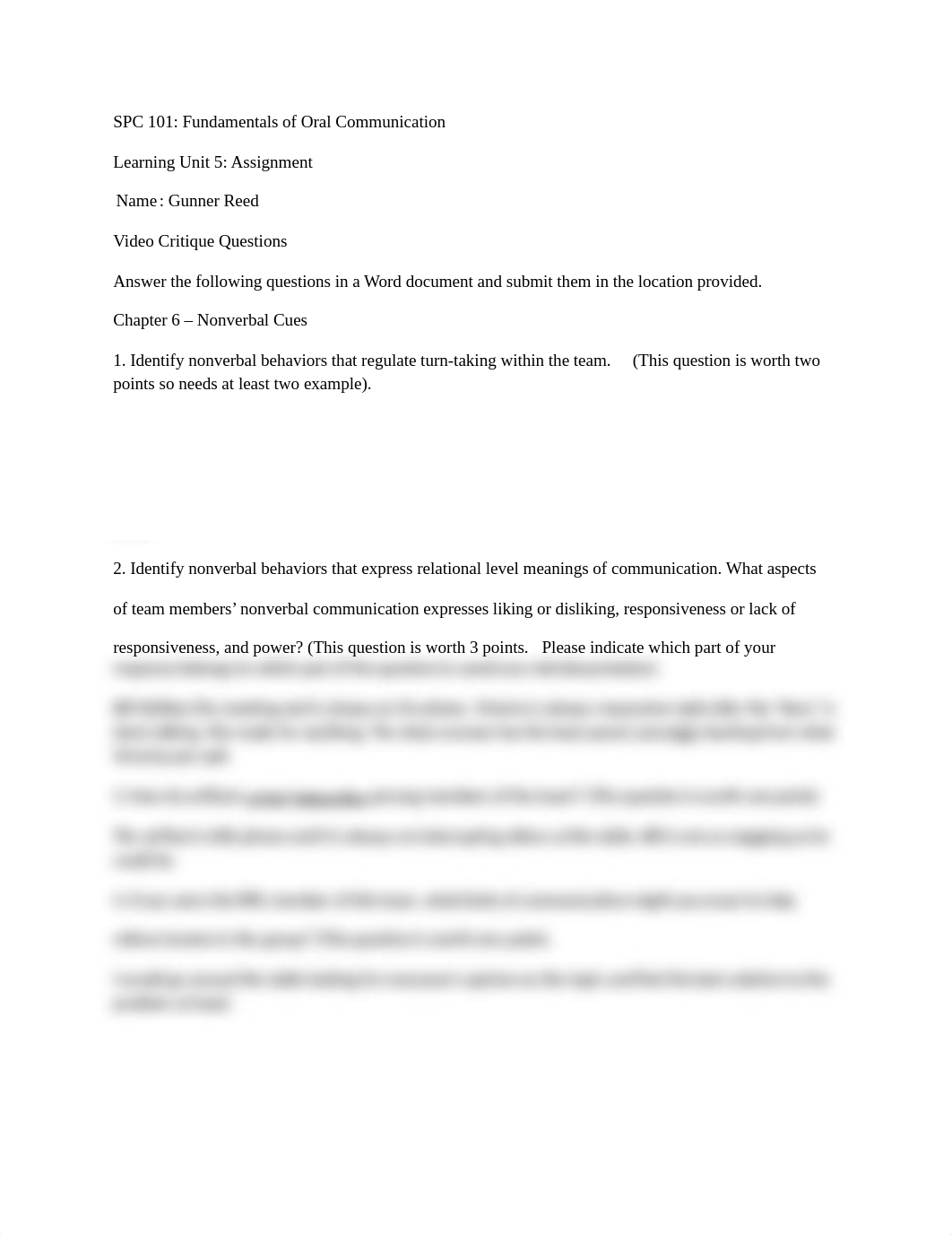 LU05 Video Critique.docx_dem31dhs0r6_page1