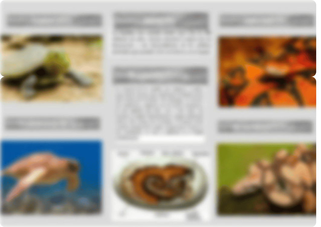 LOS REPTILES TRIPTICO.pdf_dem6431karb_page2