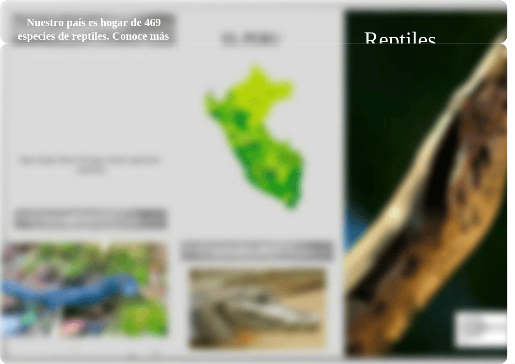 LOS REPTILES TRIPTICO.pdf_dem6431karb_page1