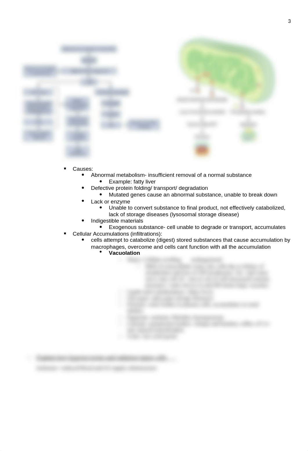 Exam 1 Study Guide.docx_dem7pavsslx_page3