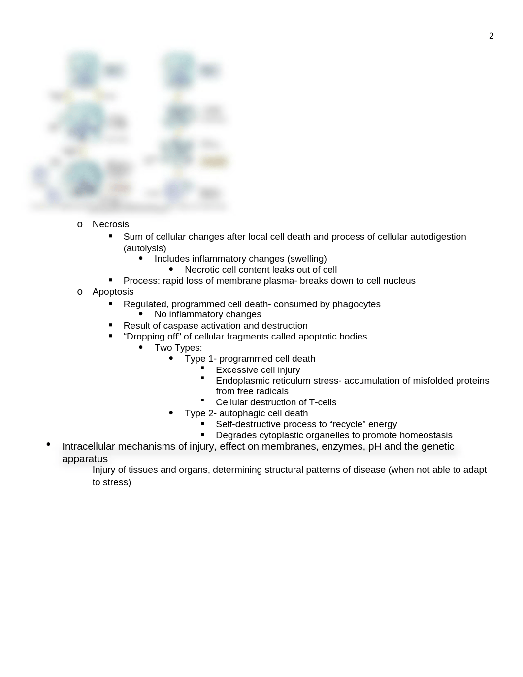 Exam 1 Study Guide.docx_dem7pavsslx_page2