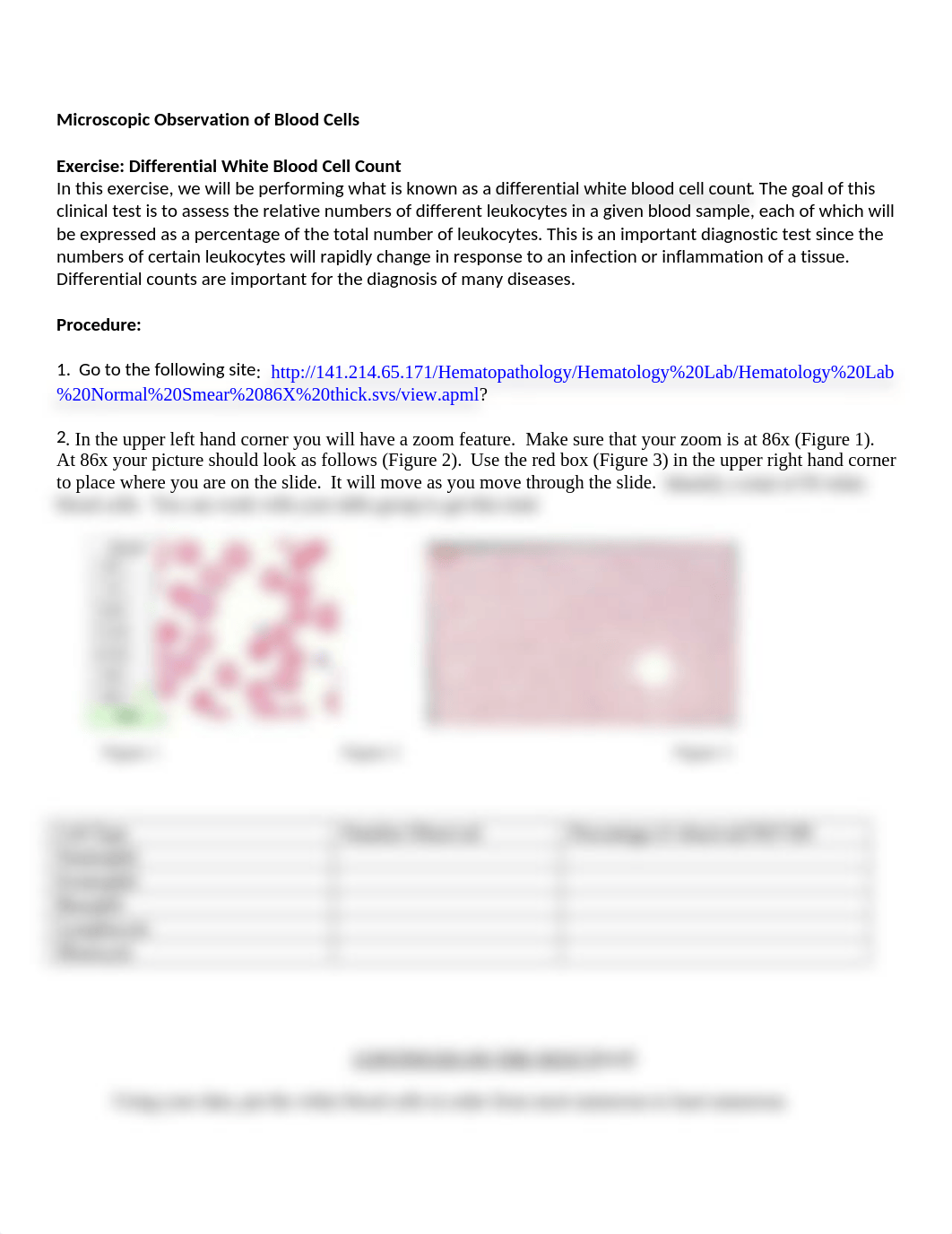 Microscopic Observation of Blood Cells.docx_demhu7mgyv8_page1