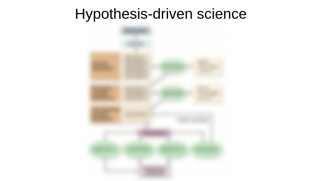 2. The Scientific Method, Themes in Biology, and Characteristics of Living Things.pptx_demi5un174c_page5