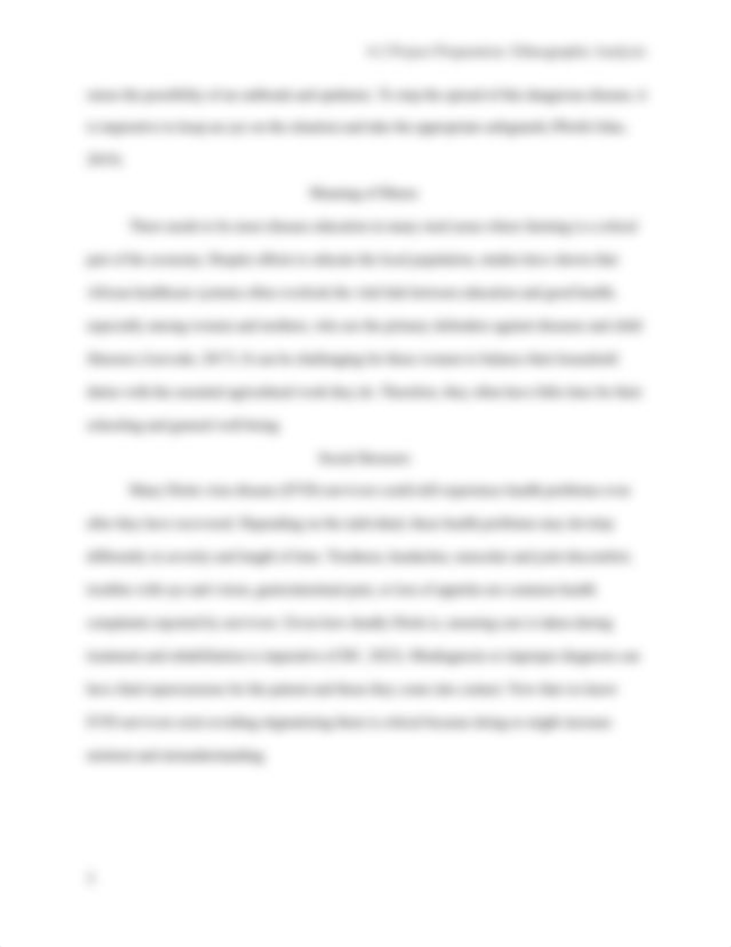 4-2 Project Preparation- Ethnographic Analysis.docx_demkzs4rk20_page3