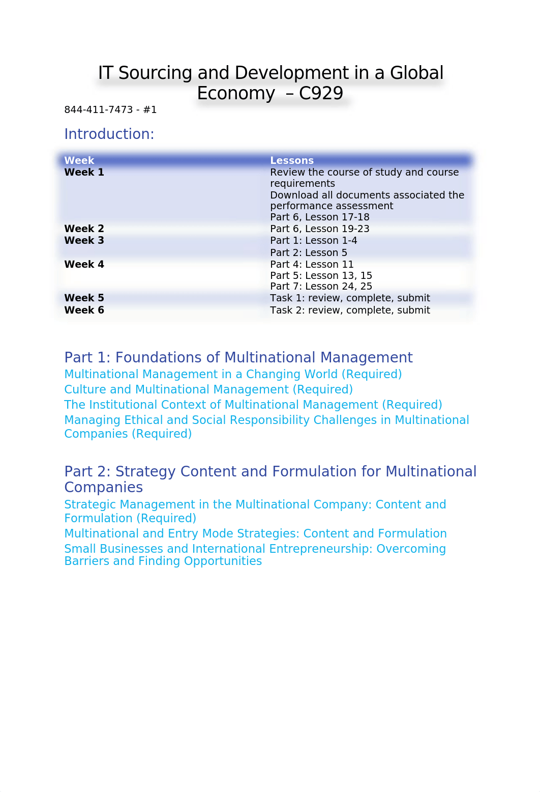 IT Sourcing and Development in a Global Economy.docx_demmyig47an_page1