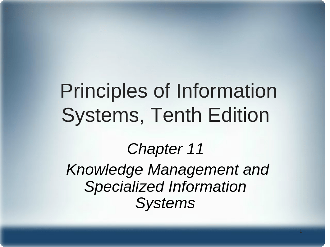 Principles of Information Systems chapter 11_demn4norl13_page1