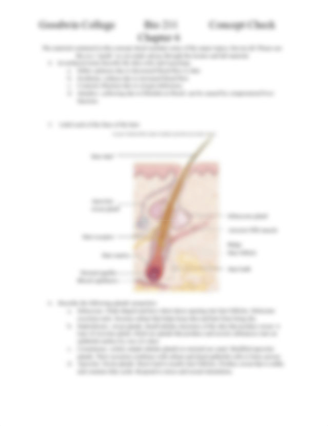 Chapter 6 Concept Check BIO211(1).docx_demopqylt8i_page2