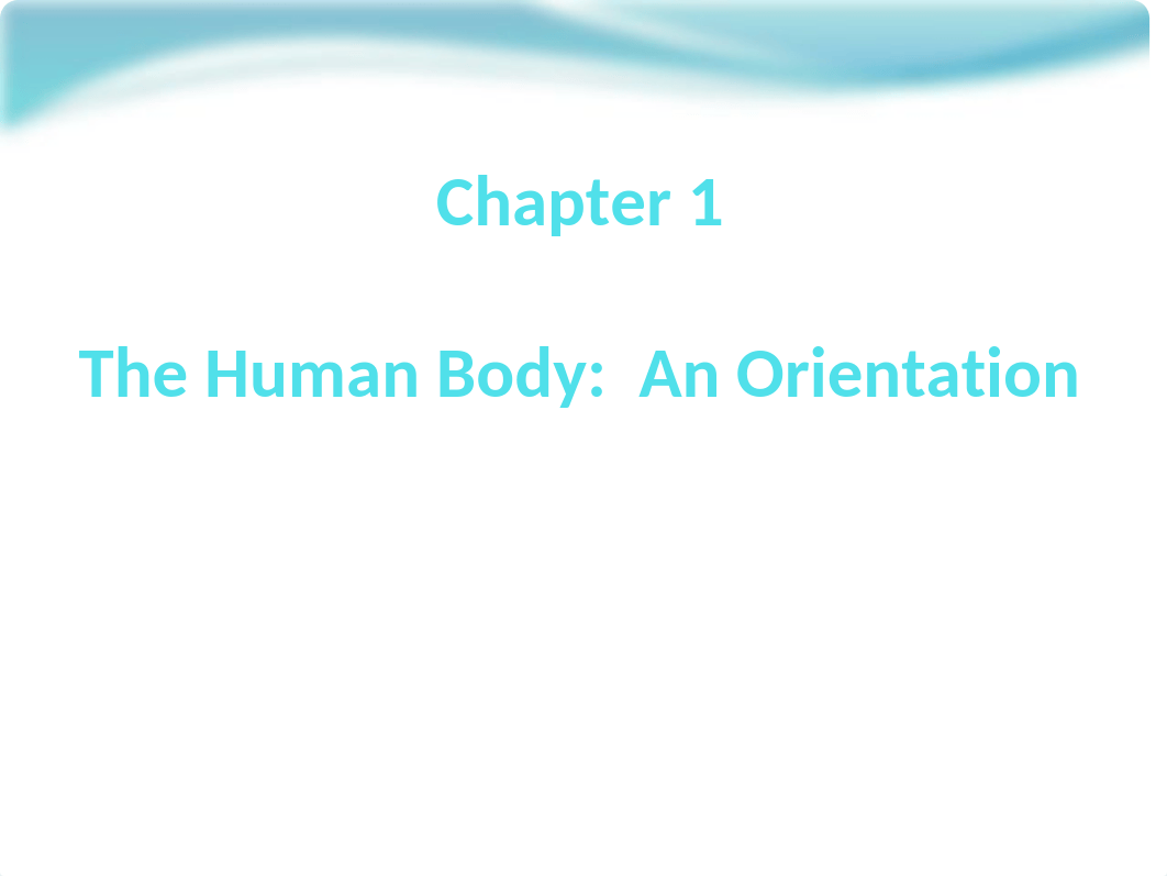 Ch. 1 - The Human Body An Orientation.pptx_den8drht5qk_page1