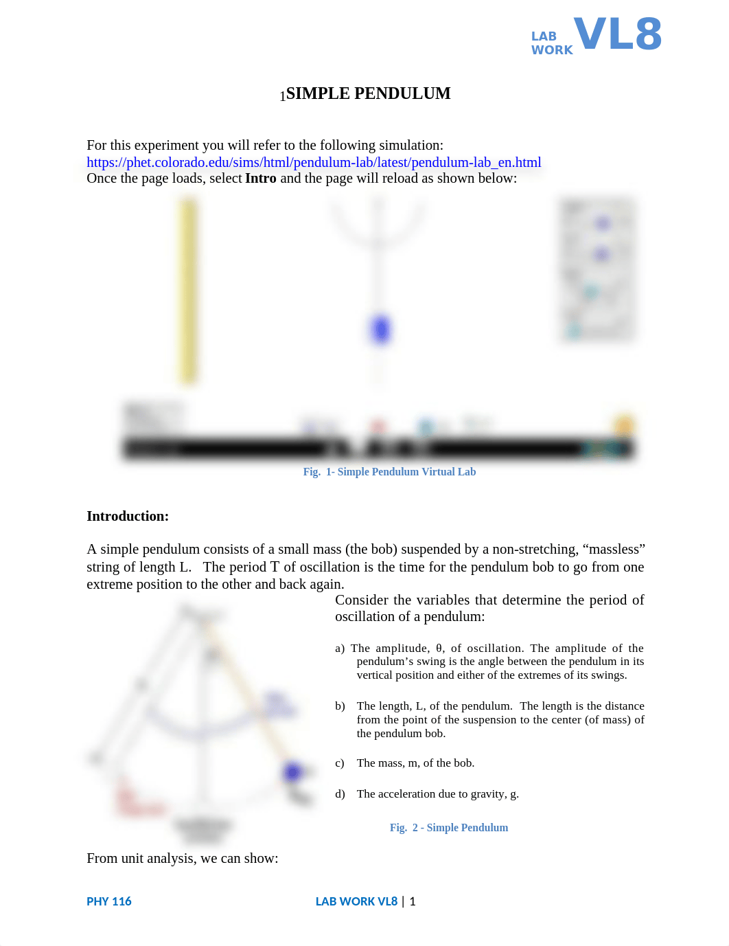 PHY116VL08SimplePendulumSU.docx_denai63s5q3_page1