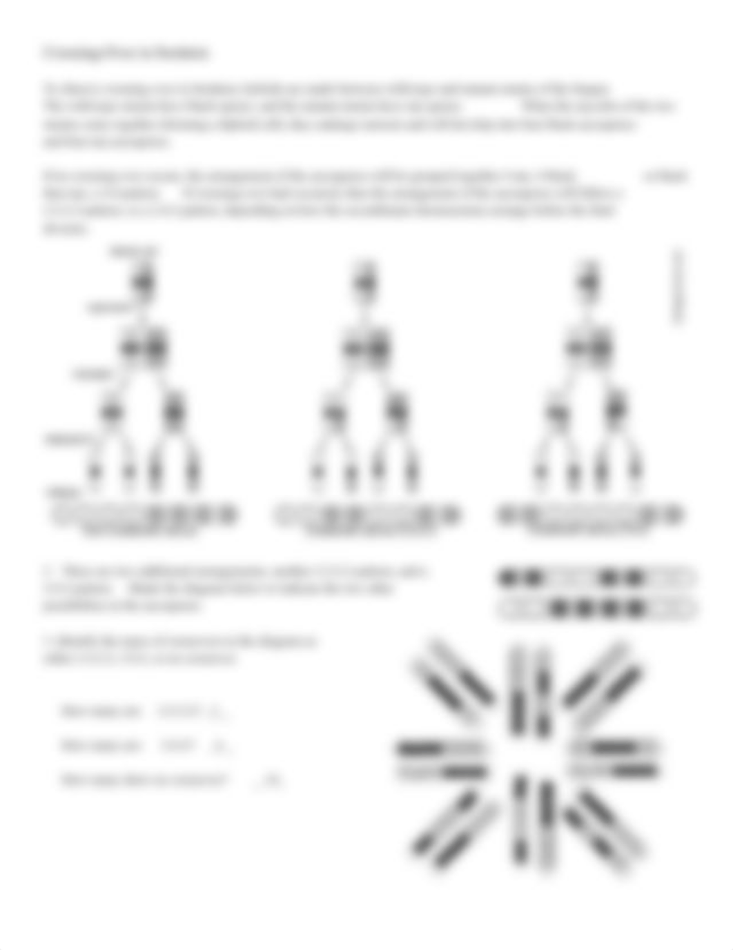 Copy of Copy of Investigation Meiosis in Sordaria.docx_dencs8dnjei_page2