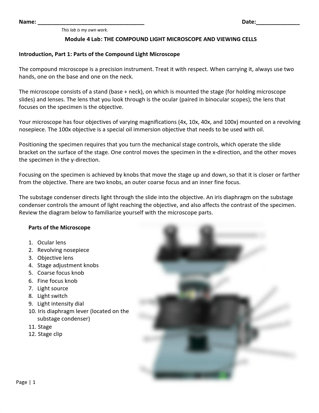 Module 4 Lab The Light Microscope and Viewing Cells-1 (1).pdf_denf9v5kboc_page1