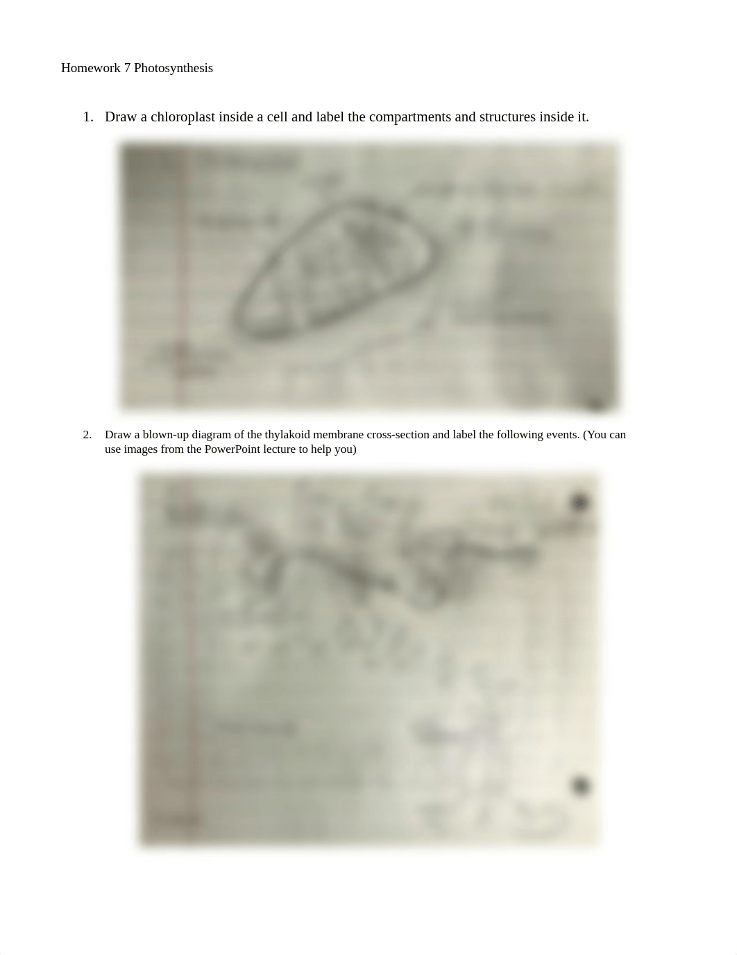 Homework 7 Photosynthesis.docx_denfvqknamx_page1