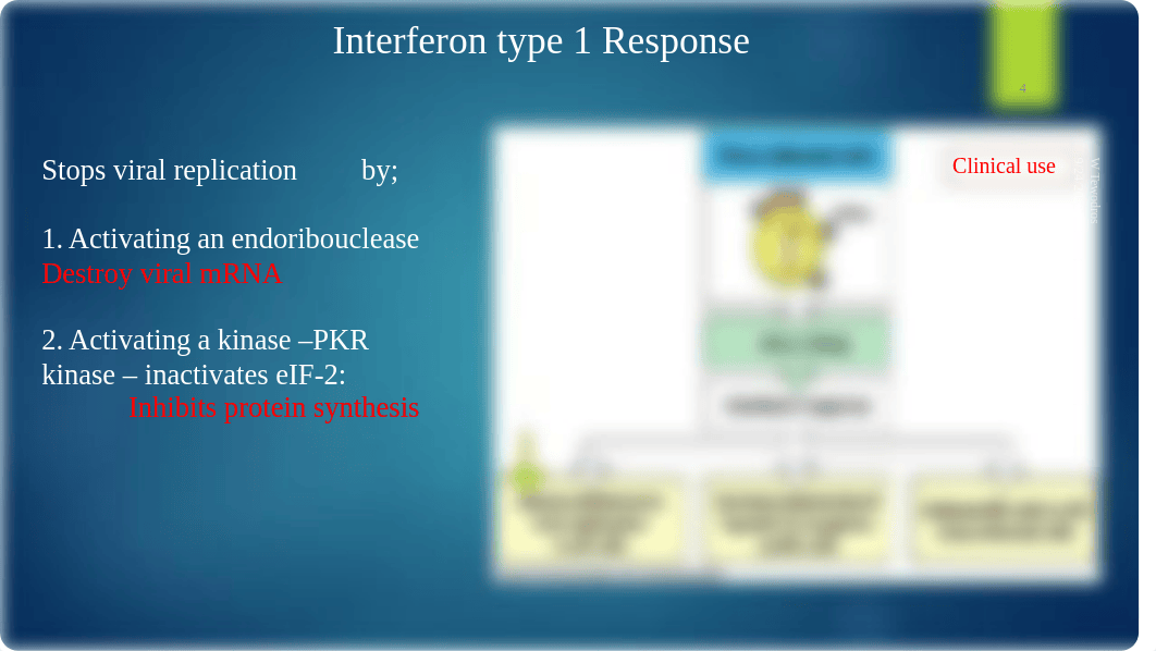 Micro Quiz I Prep bill-steve.pdf_denqmnwk5vu_page4