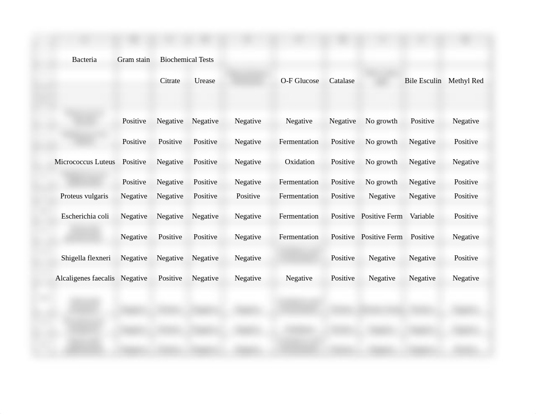 Unknown Bacteria Characteristics spreadsheet (1).xlsx_denrkuou42u_page1