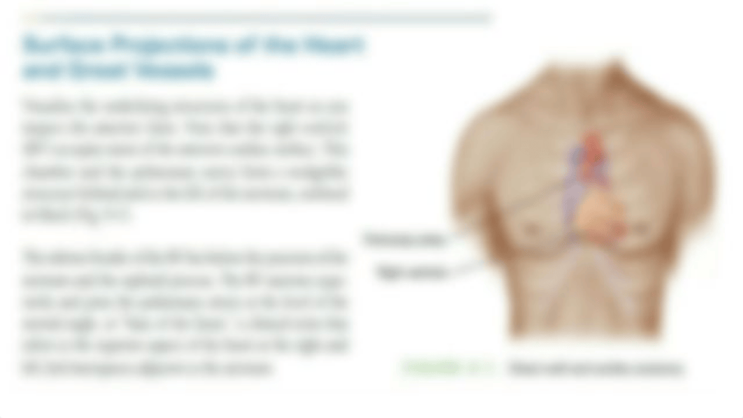 Bates chapter 9 note cards.pptx_densv41jek3_page1