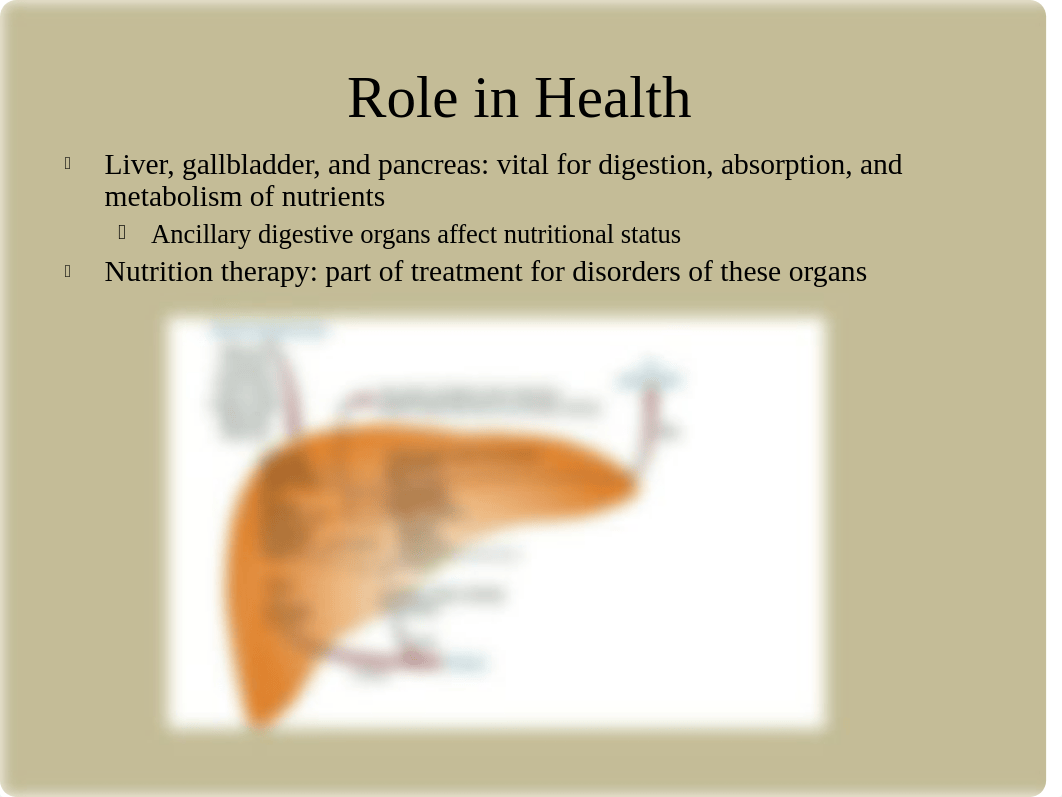 Chapter_014.ppt_dent3jzb0lh_page2