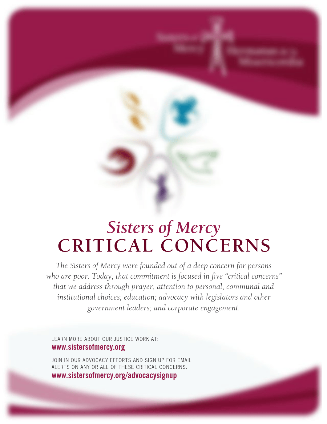 Critical Concerns of the Sisters of Mercy.pdf_denuih1outh_page1