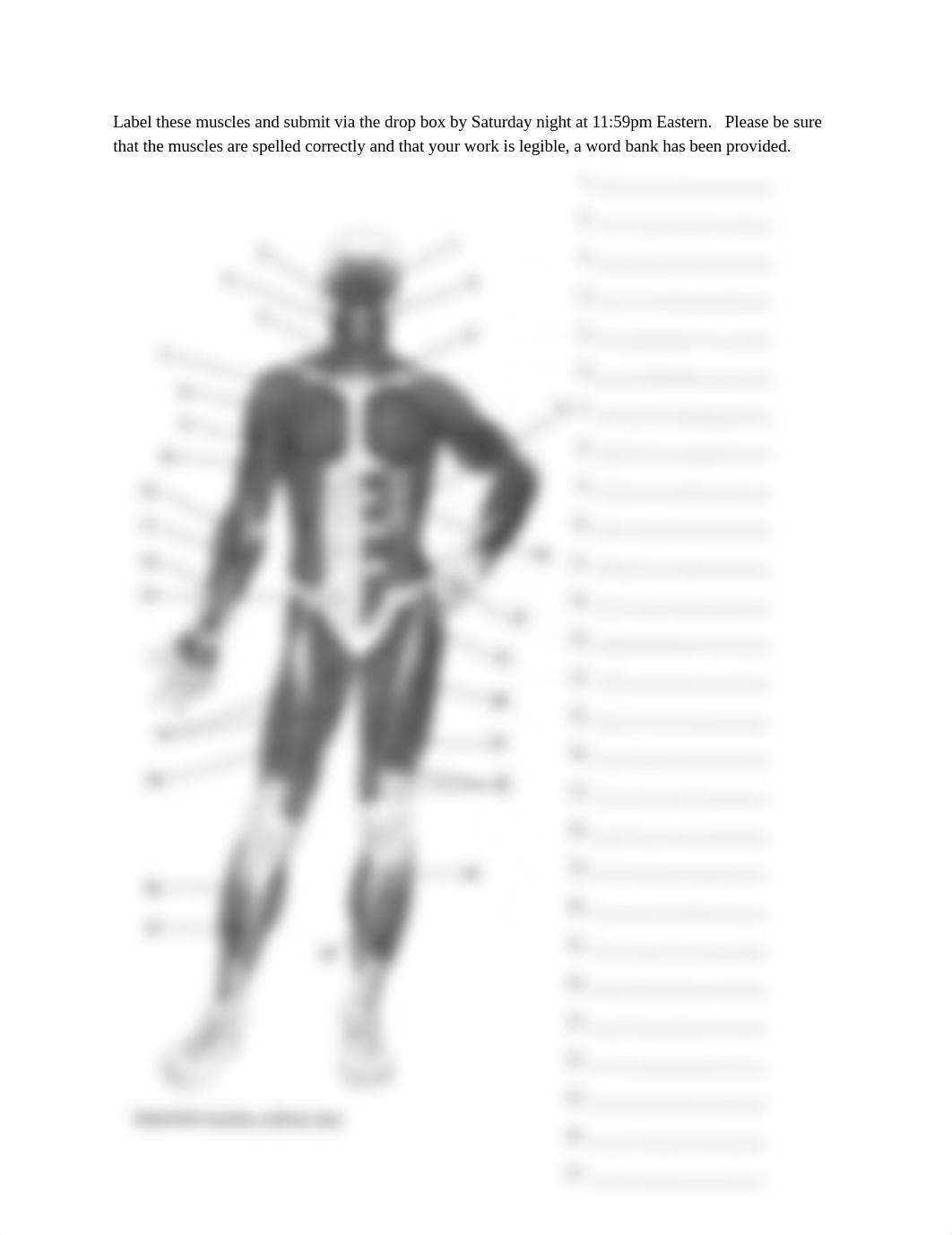 BIO201 Label Muscles of Anterior View - Kyle Patrick.docx_deo8hbay5rx_page1