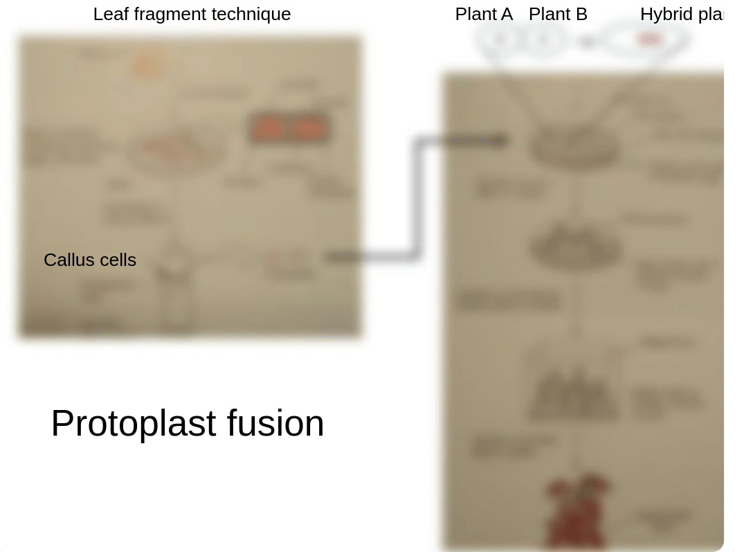 Gene Transfer_deo9daksxyh_page5