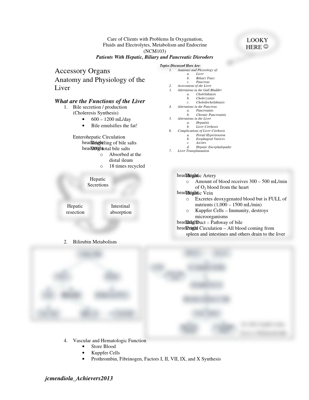 Liver care plan_deofelp28df_page1