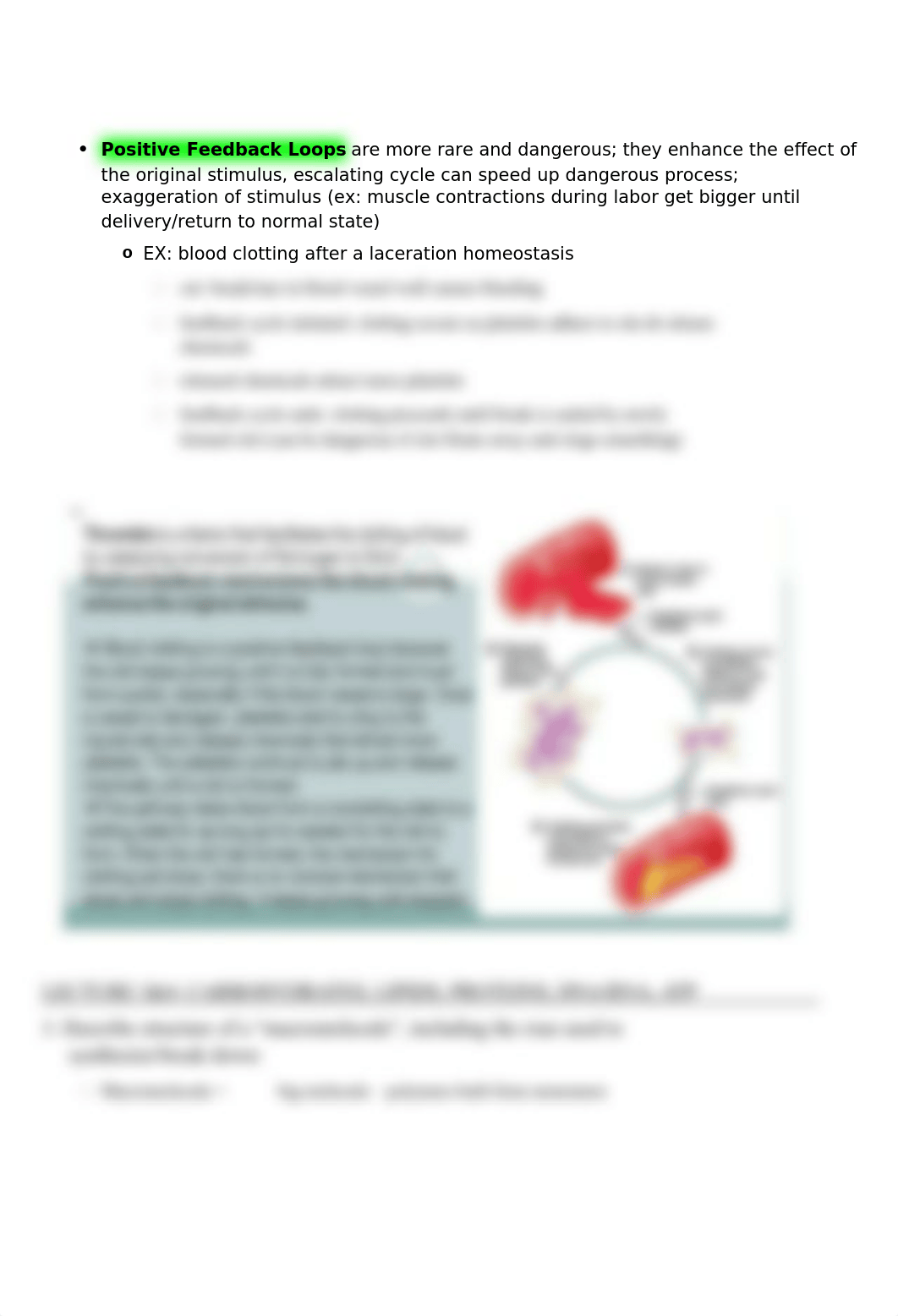 LECTURE 1-8.docx_deoiqvv5r95_page3