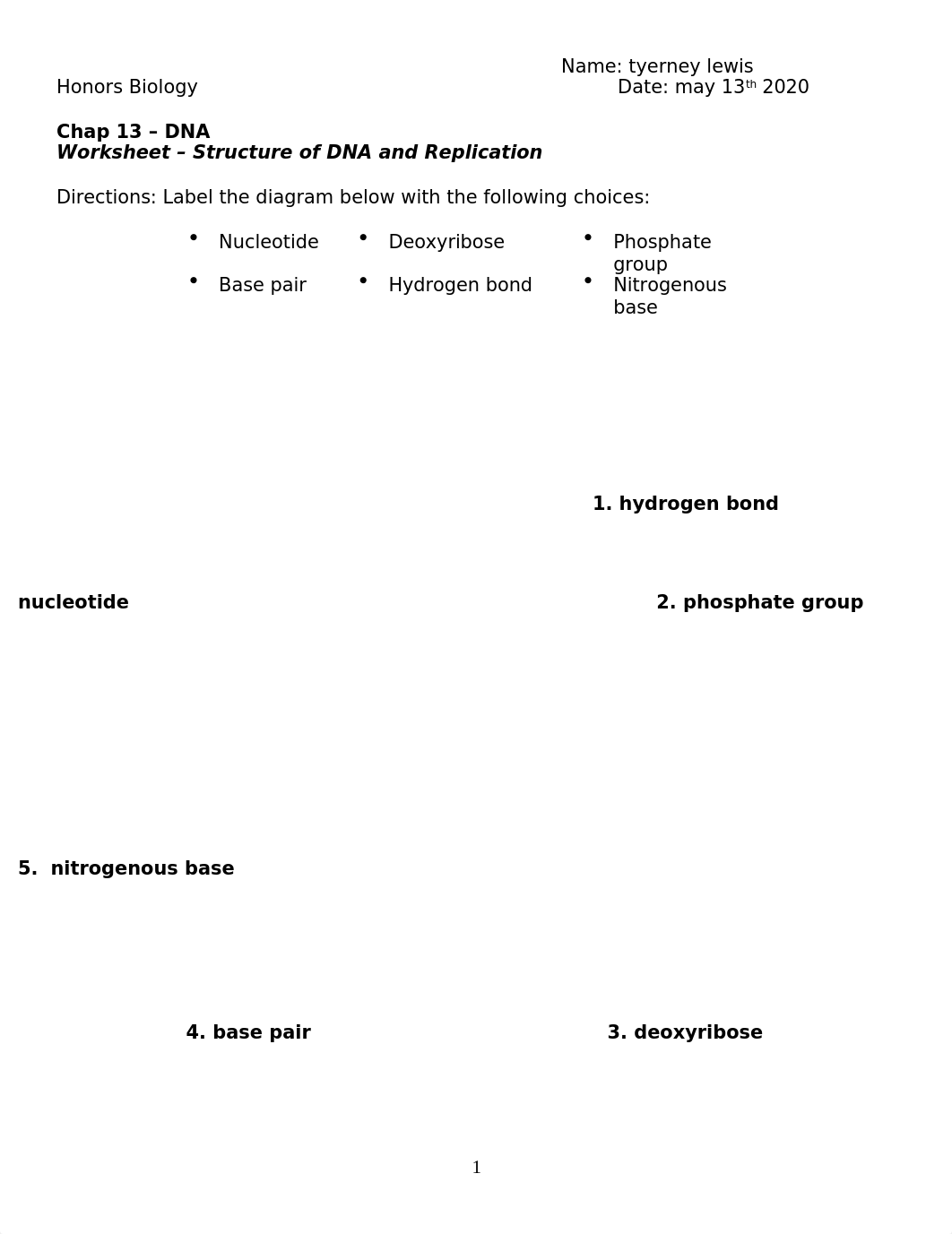 DNA Structure .doc_deojt0j2sdo_page1