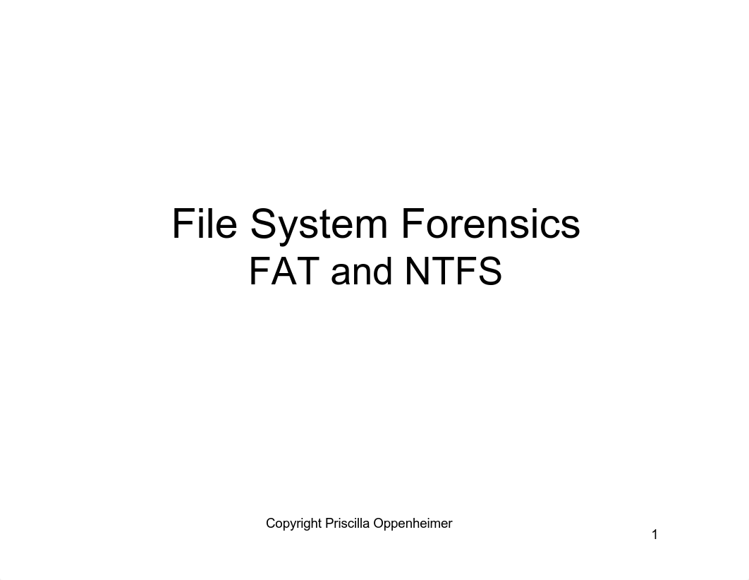 FileSystemForensics_deomr5da5jn_page1